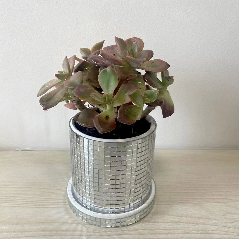 Twilight Planter